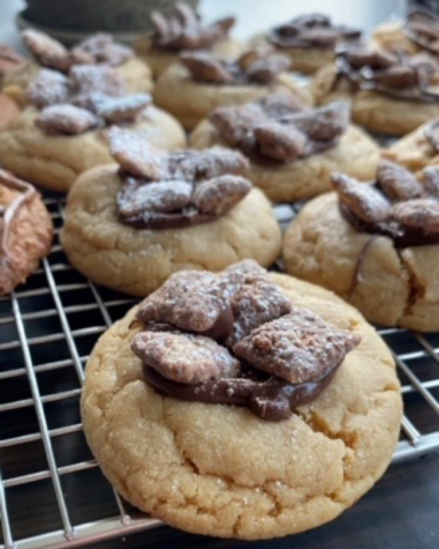 Everybody’s Favorite Nutty Buddy Cookie